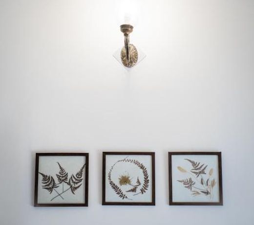 Bhikampur Lodge By Howard