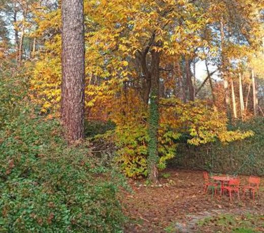 l'oasi nel bosco