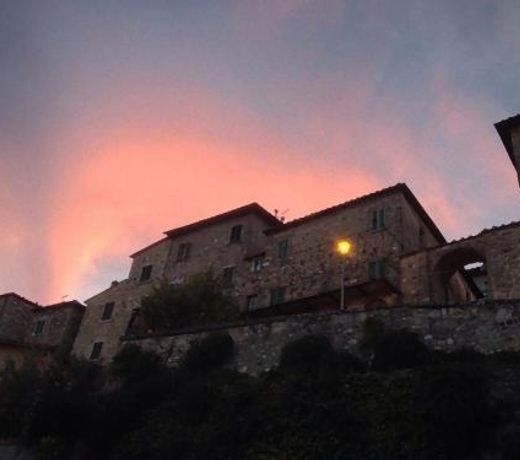 Tuscan Farmhouse with 7 Apartments for max. 33 persons