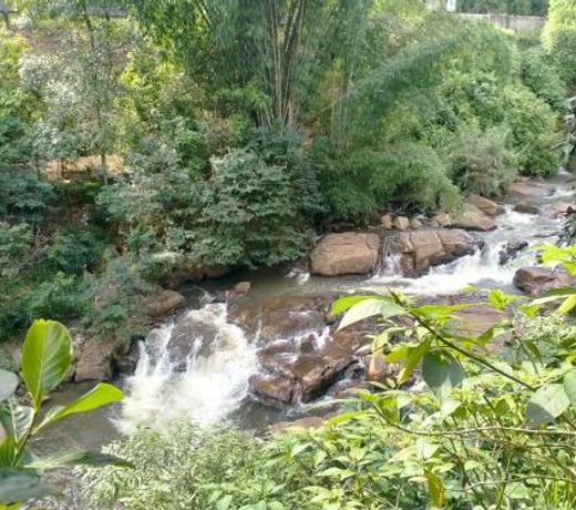 River View - Home Stay