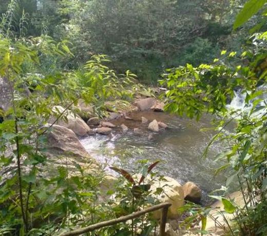 River View - Home Stay