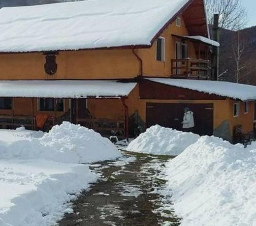 Cabana Sebes