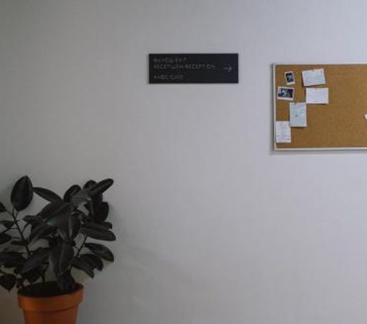 PLANTS & FRIENDS hostel