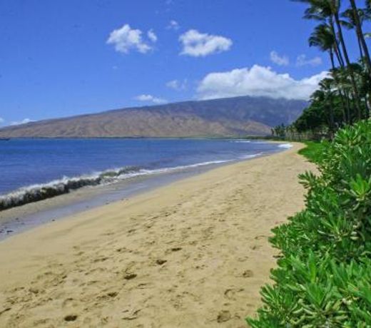 Kihei Beach #407 by Ali'i Resorts