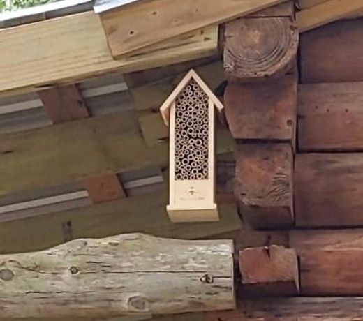 Tiny house LogCabinBnB - Ren Fest Renaissance Festival Bernhardt Arrowhead Hill Olde Dobbin Station Ranch House Farmhouse Wedding Venue Houston Woodlands College Station TAMU