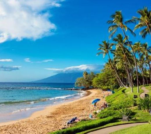 Wailea Elua #1305 by Ali'i Resorts