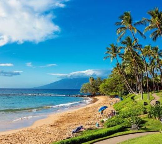 Wailea Elua #1402 by Ali'i Resorts