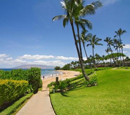 Wailea Elua #1403 by Ali'i Resorts