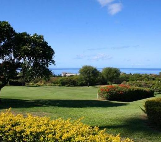 Wailea Ekolu #914 by Ali'i Resorts