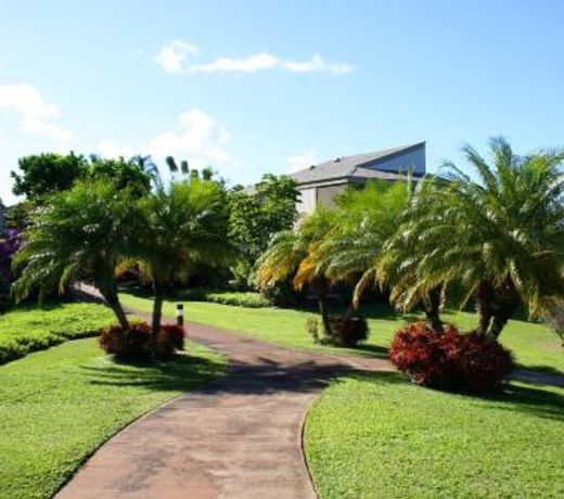 Wailea Ekolu #914 by Ali'i Resorts