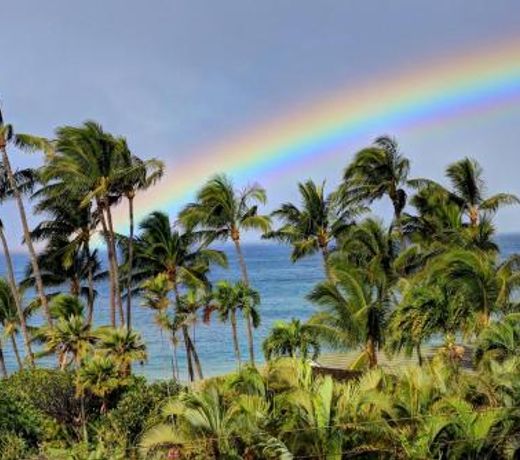 Wailea Ekahi #22D by Ali'i Resorts