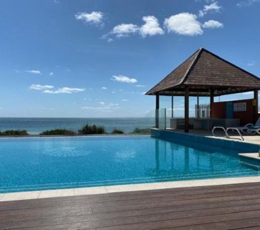 Dolphin View 404