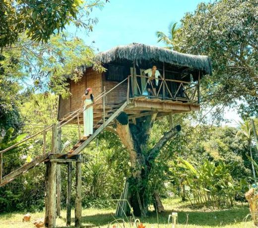 Art Jungle Eco Lodge