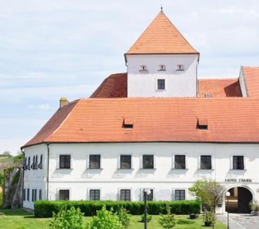 HOTEL CHATEAU ZAMEK CEJKOVICE