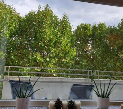 Renoviertes Wohlfuhlapartment