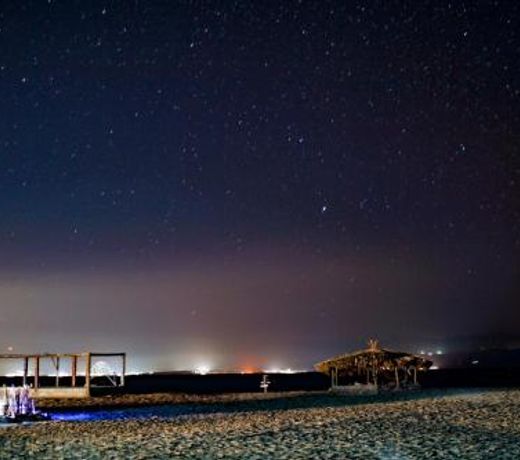 Spicy Beach Camp