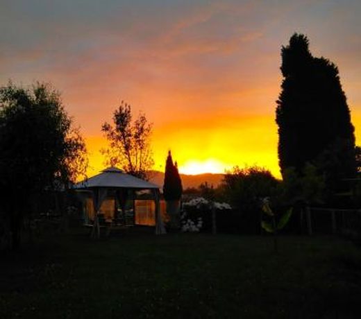 El llagar - Sagasta Rural Oviedo