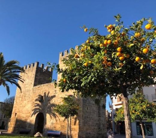 Casa Sa Pedra, en el centro histÃ³rico de Alcudia