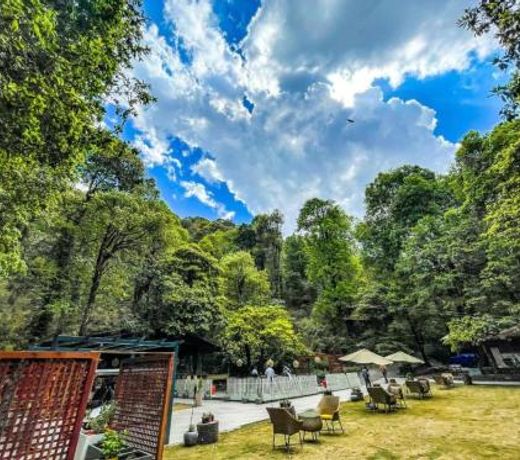Ayar Jungle Resort