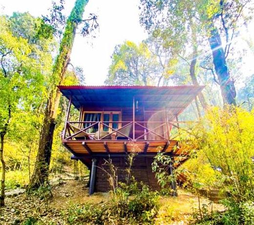 Ayar Jungle Resort