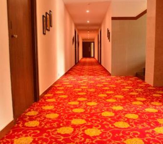 Thechi hotels Pvt ltd