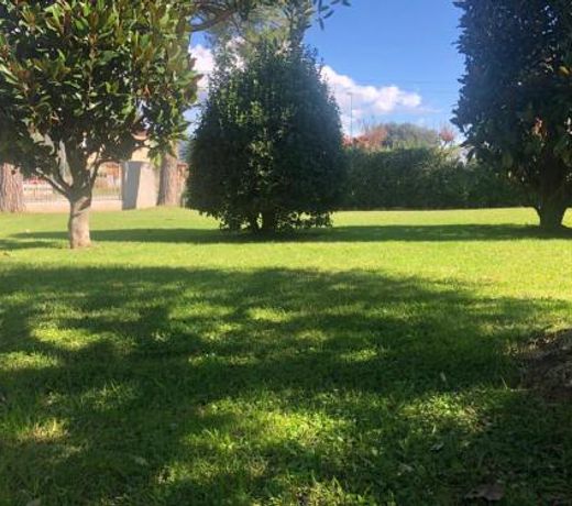 Villa Orsini - A Retreat in Pisa - Food and Relax