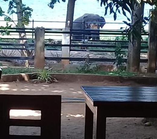 Hotel Nildiya Lake