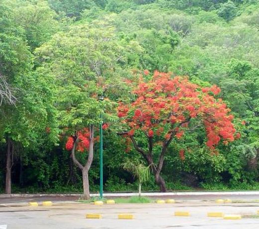 Camino al Mar