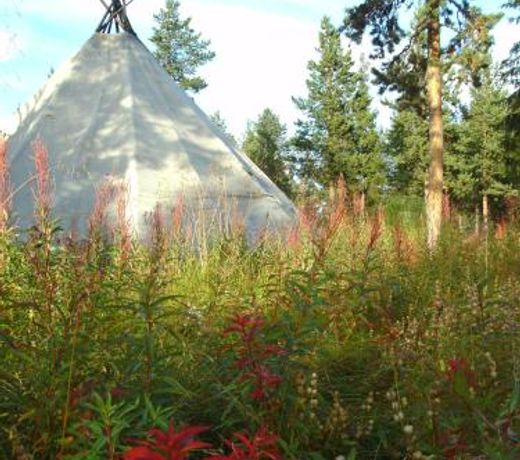 The Reindeer Lodge