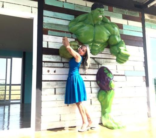 à¸«à¸¡à¸¹à¹à¸à¹à¸²à¸à¸¢à¸­à¸à¸¡à¸à¸¸à¸©à¸¢à¹ Superheroes Village by SolarCell Group