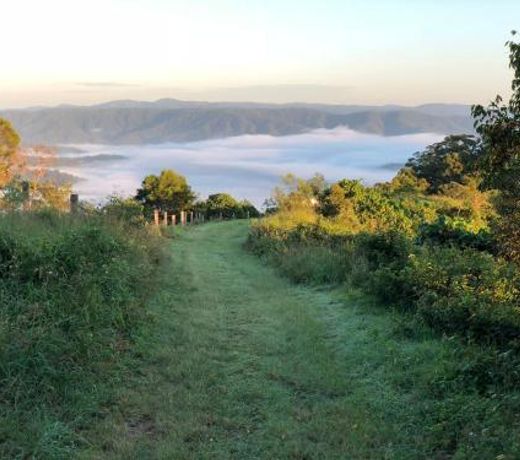 The Ridge at Maleny