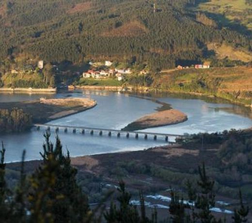 La Quintana del Castillo