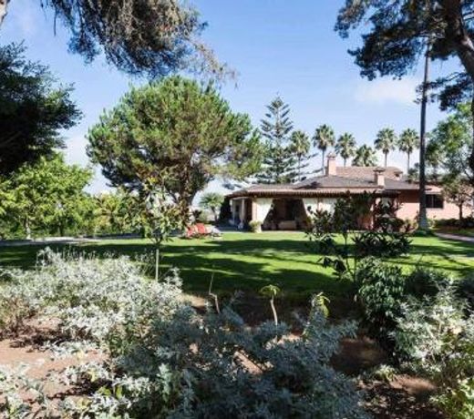 Finca Los Pinos