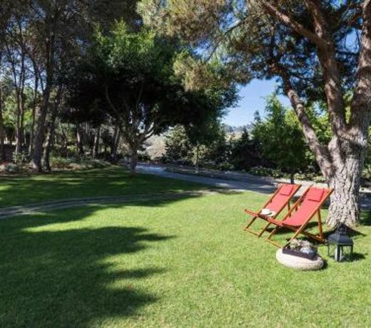 Finca Los Pinos