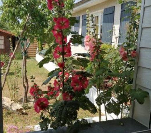 Maison d'hÃ´tes le clos de la Presle, Compostelle