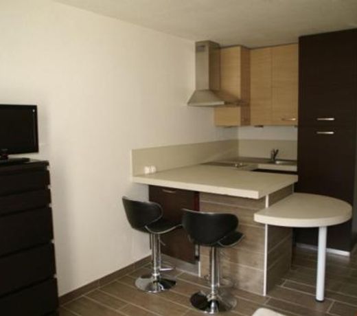 Appartement Les Adrets-Prapoutel, 1 piÃ¨ce, 2 personnes - FR-1-557-28