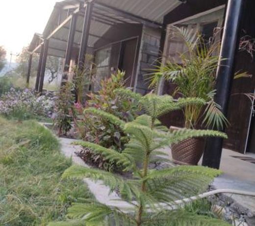 Jayara resort and restaurants