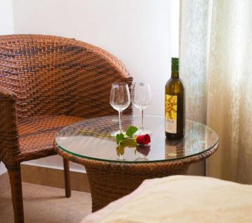 hotel shriansh plaza