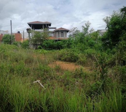 EcoDilVilla