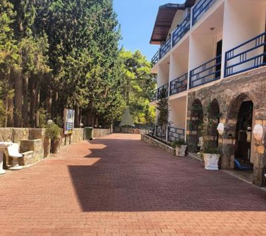 Silver Pine Hotel