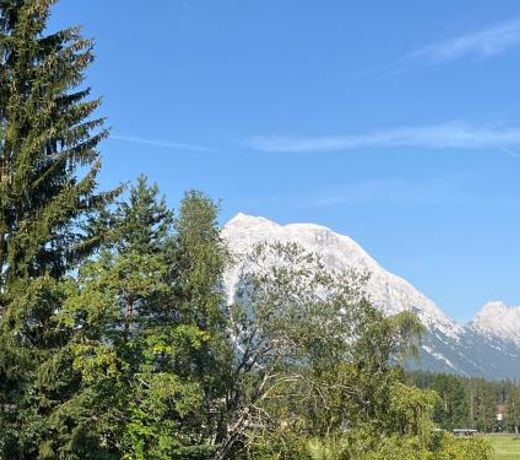 Weidach Bergblick