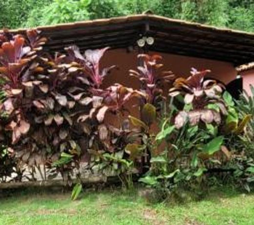 Chales Internacional