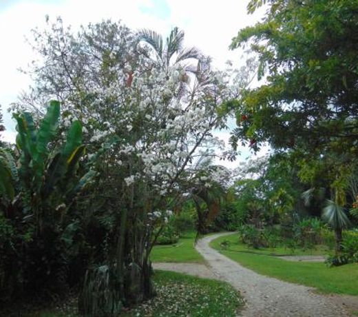 Finca La Colina