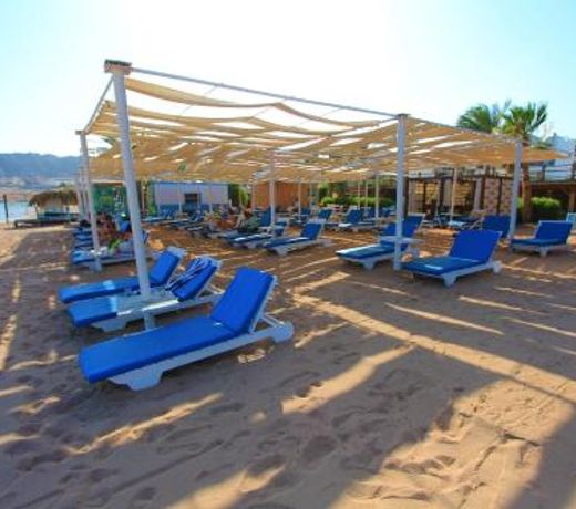 Panda resort