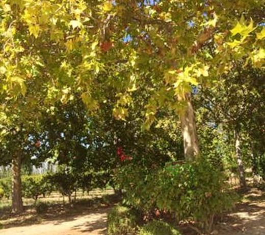 Maison de 4 chambres avec jardin amenage et wifi a Arles