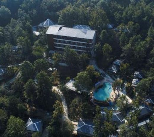 The Punarnava Luxury Health & Wellness Resort
