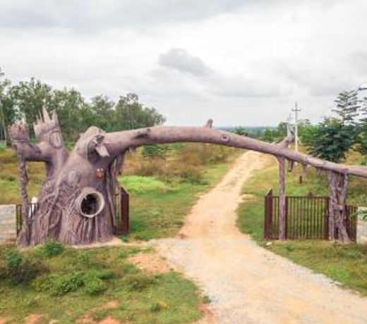 Shreegandha Nest