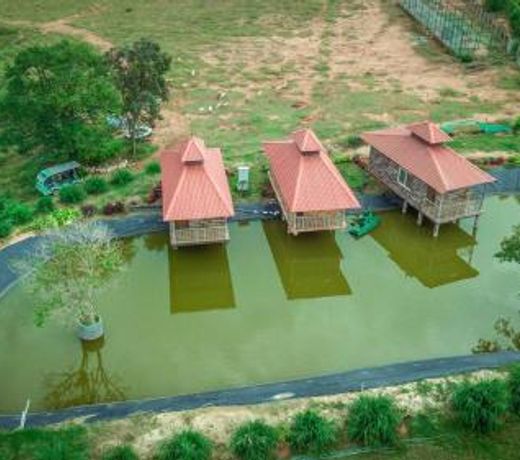 Shreegandha Nest