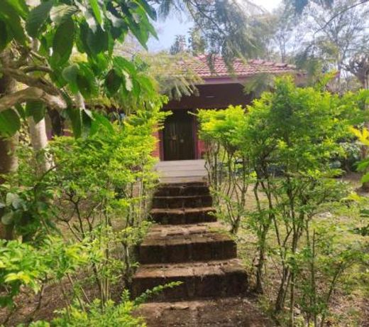 WILDLIFE RESORT