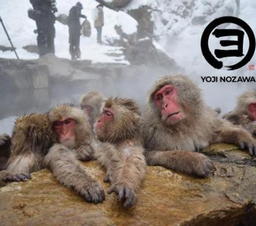 Yoji Nozawa